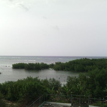 Hotel Tropik Leadonna Montego Bay Exteriör bild