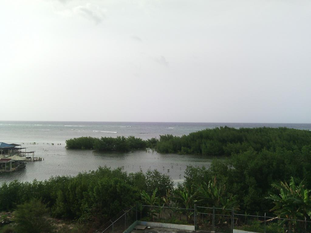 Hotel Tropik Leadonna Montego Bay Exteriör bild